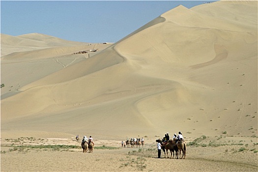 骆驼,掸邦,敦煌,中国