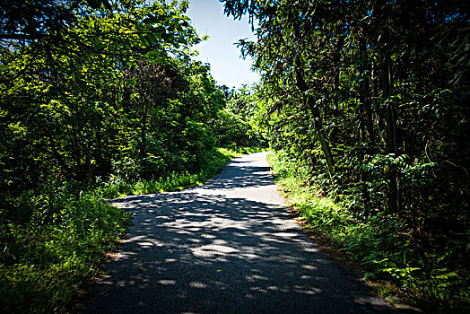 道路