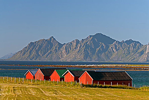 五个,红色,小屋,海岸,靠近,陡峭,山峦,背影,罗弗敦群岛,诺尔兰郡,挪威,欧洲