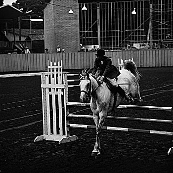 马,骑乘,超越障碍比赛,活动