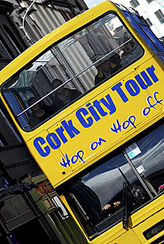 爱尔兰,科克郡,中心,科克市,正面,黄色,城市,旅游巴士