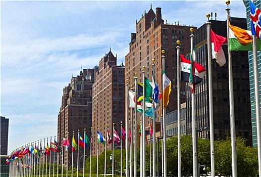 联合国,总部,旗帜,成员