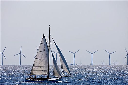 帆船,正面,岸边,风公园,声音,丹麦,瑞典