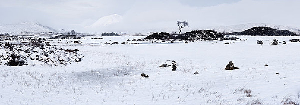兰诺克沼泽,冬天,初雪,苏格兰高地,苏格兰