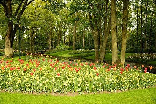 库肯霍夫公园,荷兰