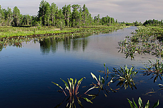 运河,国家野生动植物保护区,佛罗里达