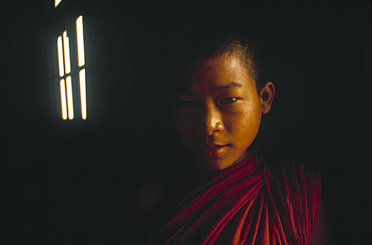 肖像,男孩,僧侣,缅甸