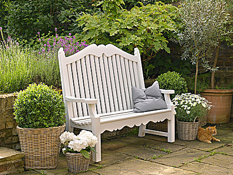白色,长椅,座椅,花园