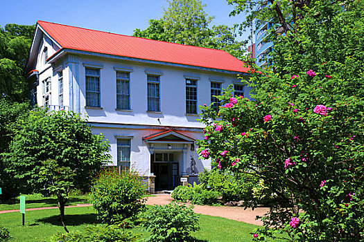 纪念馆,北海道,大学,植物园