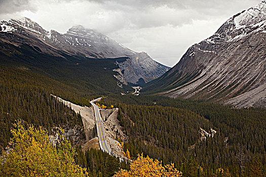 俯拍,公路,通过,山峦,冰原大道,碧玉国家公园,艾伯塔省,加拿大