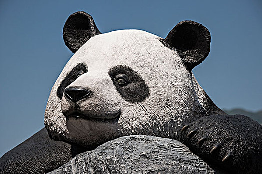 熊猫,海洋公园,香港岛,香港,中国,亚洲
