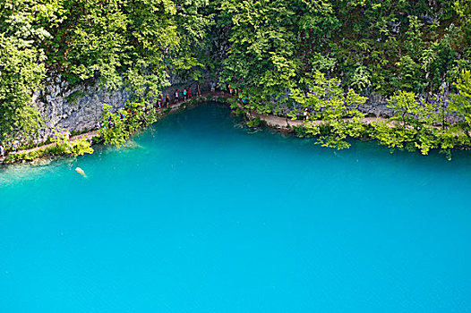 青绿色水,普里维奇湖,十六湖国家公园,克罗地亚,欧洲