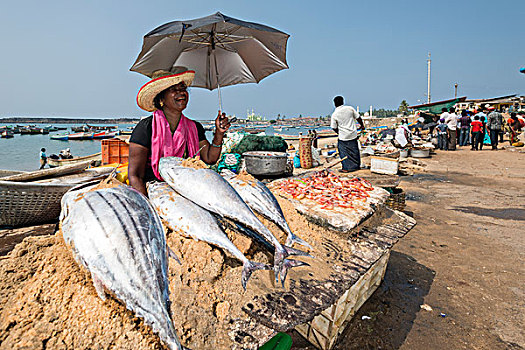 女人,销售,鱼,喀拉拉,印度,亚洲