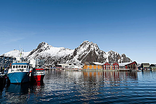 渔船,港口,雪山,罗浮敦群岛,挪威