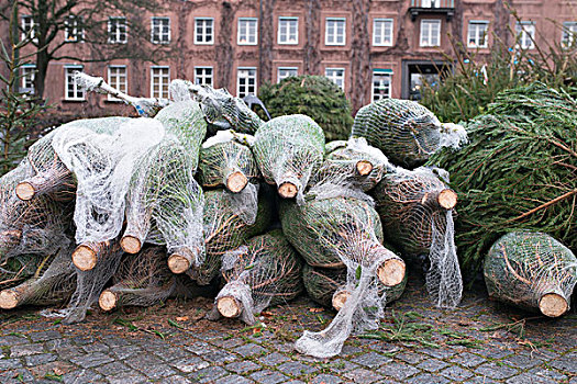 圣诞树,包装,网