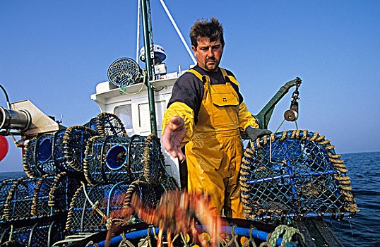 龙虾,捕鱼,布列塔尼半岛