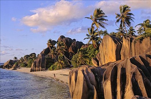 塞锡尔群岛,拉迪戈岛,银,海滩,棕榈树