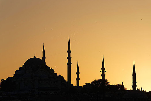 清真寺,伊斯坦布尔,土耳其,欧洲,亚洲