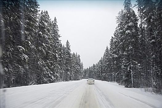 公路,冬天,艾伯塔省,加拿大