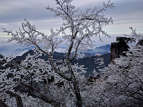 九华山,天台,冬季