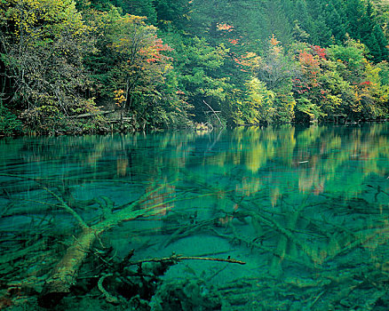 四川阿坝州九寨沟的五花海风景