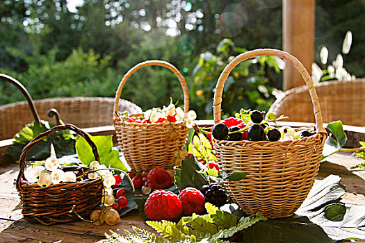 新鲜,浆果,花园桌