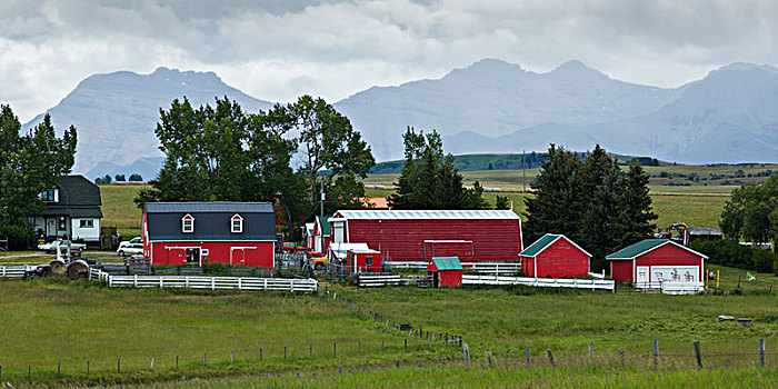 谷仓,农场,溪流,南方,艾伯塔省,加拿大