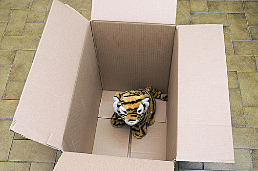 虎,玩具,纸盒,盒子