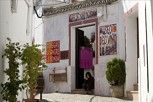 酒,葡萄酒,博物馆,安达卢西亚,西班牙,欧洲