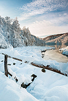 河,树林,十六湖国家公园,冬天,克罗地亚