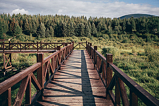 草原上的桥