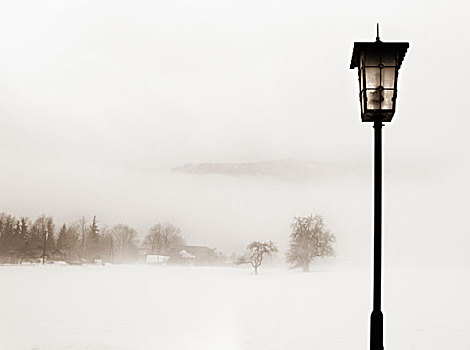 街灯柱,树林,雪,风景