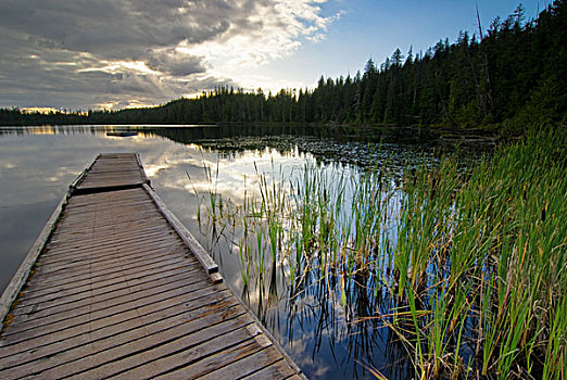 日落,小,湖,温哥华岛,不列颠哥伦比亚省,加拿大