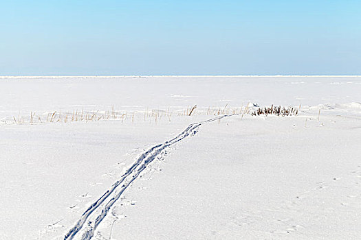 蓝天,雪,滑雪道,冰冻,波罗的海,冬季运动,越野滑雪