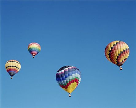 彩色,热气球,天空,阿布奎基,新墨西哥,美国