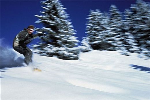 男人,滑雪板,少女峰,瑞士