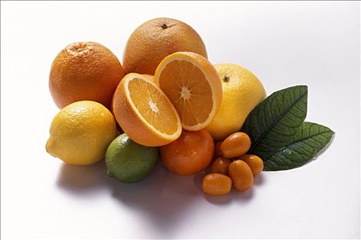 种类,柑橘