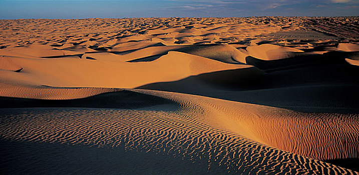 中国新疆塔克拉玛干沙漠