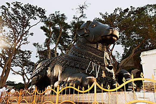 雕塑,公牛,庙宇,迈索尔,印度