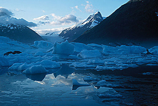 冰山,波蒂奇,湖,冰河,阿拉斯加
