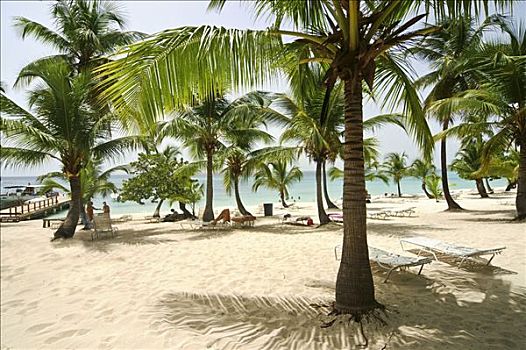 海滩,棕榈树,折叠躺椅,卡塔琳娜,岛屿,多米尼加共和国,加勒比海,美洲