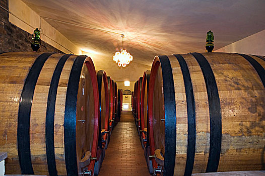 葡萄酒桶,葡萄酒,地窖,葡萄酒厂,蒙大奇诺,托斯卡纳,意大利,欧洲