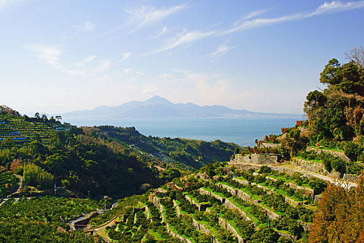 柑橘,地点,山,背景