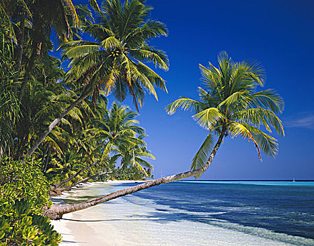 马尔代夫,棕榈海滩