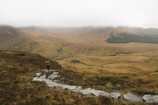 女人,岩石上,小路,康纳玛拉,国家公园,戈尔韦郡,爱尔兰