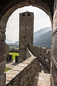 城堡,贝林佐纳,提契诺河,瑞士
