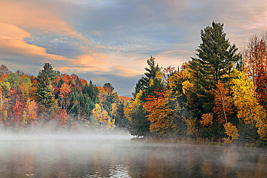 湖,雾,日出,秋叶,山,新英格兰