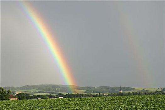彩虹,上方,绿色,地点,下奥地利州