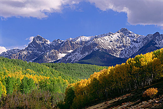 圣胡安山,乌雷,白杨