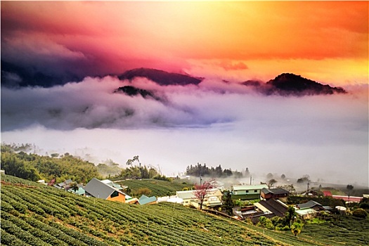 日落,山,风景